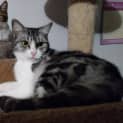 Photo of Mork