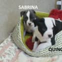 Photo of Sabrina