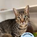 Photo of Clyde