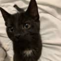 Photo of Oliver
