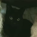 Photo of Jenny