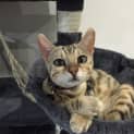Photo of Asia