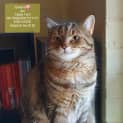 Photo of Queenie