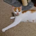 Photo of Gabby