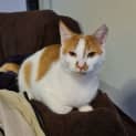 Photo of Gabby