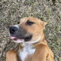 Photo of Zanda