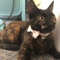 Photo of Princess