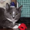 Photo of Kiki