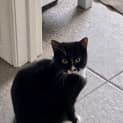 Photo of Dasher