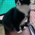 Photo of Echo