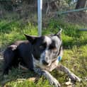 Photo of Bonny