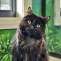 Photo of Marble