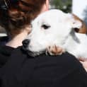 Photo of Daisy