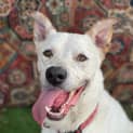 Photo of Snowy