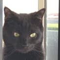 Photo of Crispy