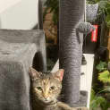 Photo of Marianne