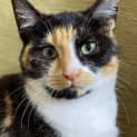 Photo of Greta