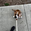 Photo of Delilah