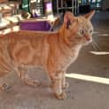 Photo of Big Red
