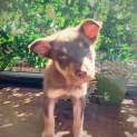 Photo of Squall