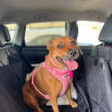 Photo of Narla Dl2944