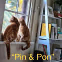 Photo of Pin And Pon