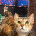 Photo of Sharni