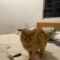 Photo of Rodney 