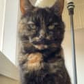 Photo of Molly