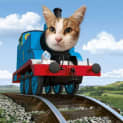 Photo of Thomas