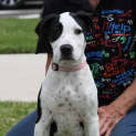 Photo of Nellie