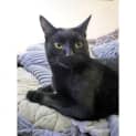Photo of 6706 Fifimeow