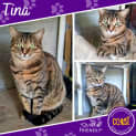 Photo of Tina