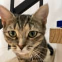 Photo of Tina