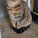 Photo of Tina