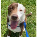 Photo of Harvey