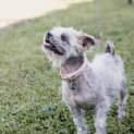 Photo of Bindi Fabricio