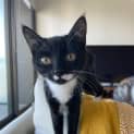 Photo of Keeva