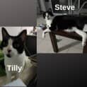 Photo of Steve / Tilly The Tripod