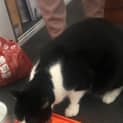 Photo of Steve / Tilly The Tripod
