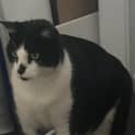 Photo of Steve / Tilly The Tripod