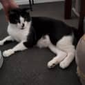 Photo of Steve / Tilly The Tripod