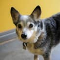 Photo of Molly