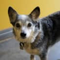 Photo of Molly