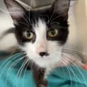 Photo of Tovah
