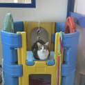 Photo of Thomas