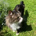 Photo of Molly
