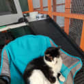 Photo of Steve / Tilly The Tripod