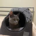 Photo of Inky