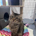 Photo of Loki